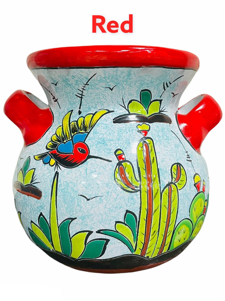 Morelia Chica Talavera Planter