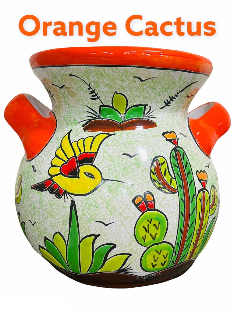 Morelia Chica Talavera Planter