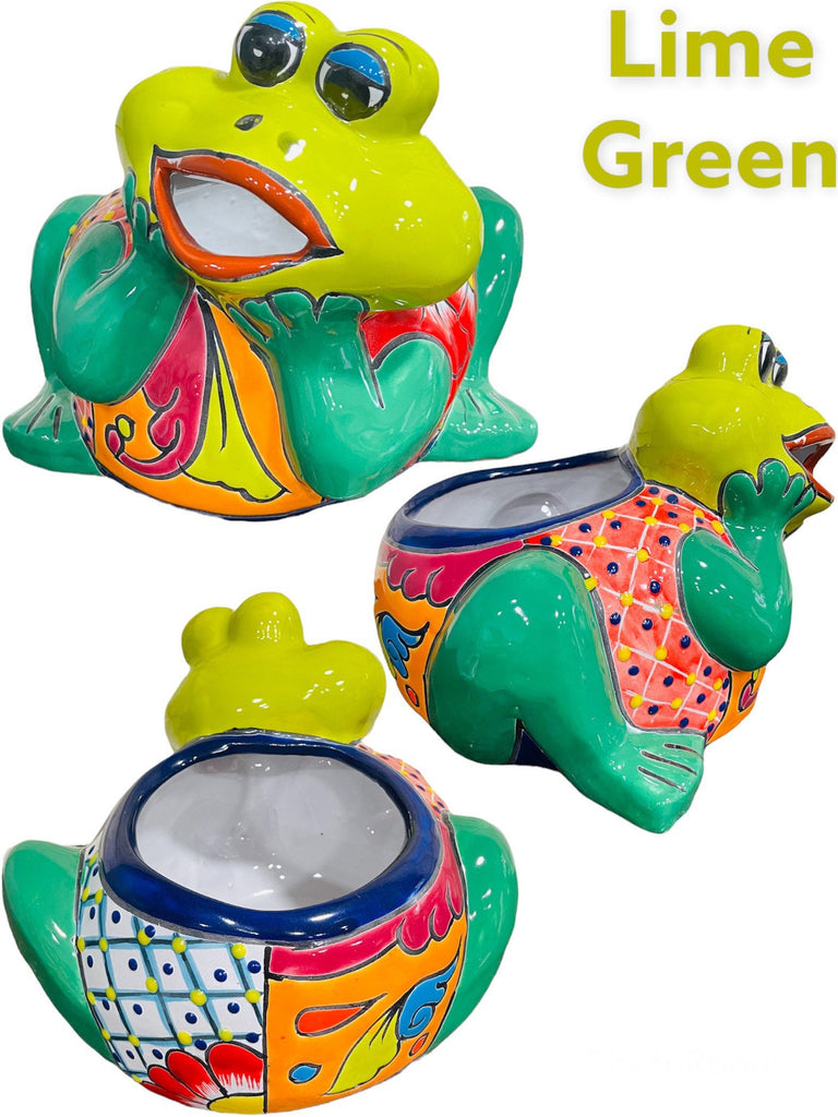 Smiling OMG Frog Rana Talavera Planter