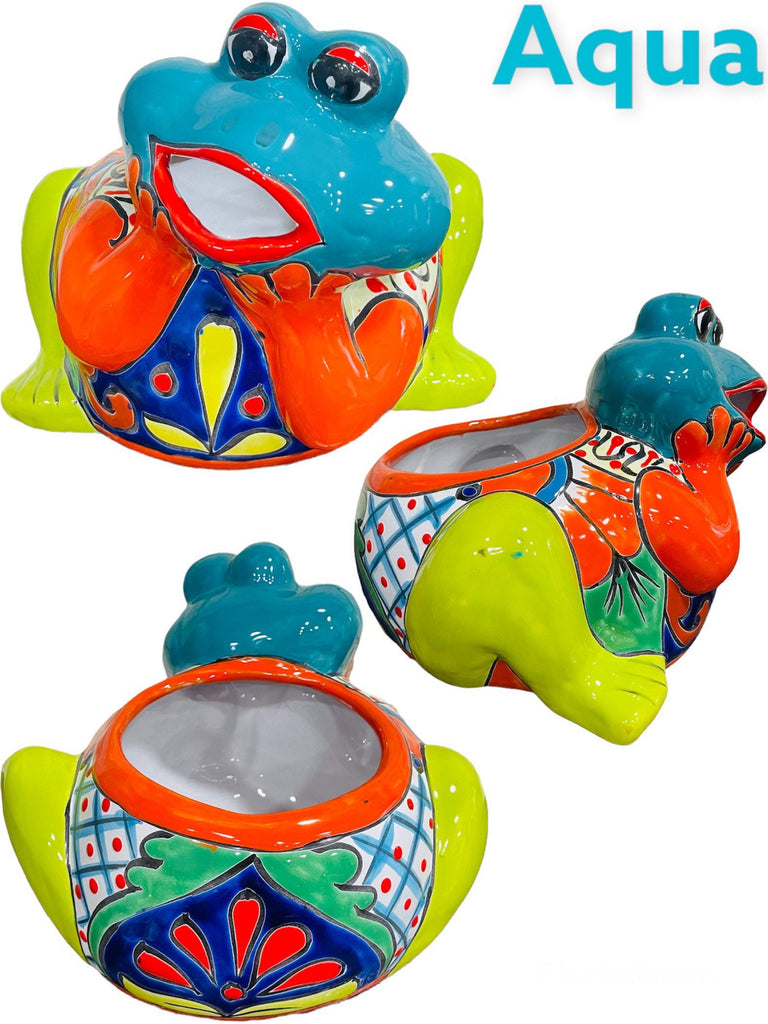 Smiling OMG Frog Rana Talavera Planter